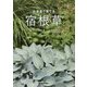 北海道で育てる宿根草 [単行本]