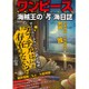 『ワンピース』海賊王の「考」海日誌 [ムックその他]