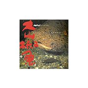 大山椒魚 [単行本]