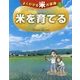 よくわかる米の事典〈1〉米を育てる [絵本]