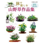 鉢で楽しむ山野草作品集: 別冊趣味の山野草 [ムックその他]
