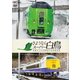 さようならスーパー白鳥 青函トンネル最後の在来線特急 (想い出の中の列車たちシリーズ) [DVD]