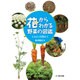 花からわかる野菜の図鑑―たねから収穫まで [単行本]