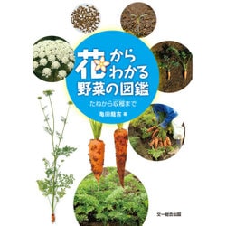 花からわかる野菜の図鑑―たねから収穫まで [単行本]