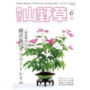 趣味の山野草 2016年 06月号 [雑誌]