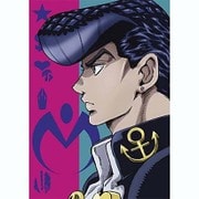 ジョジョの奇妙な冒険 ダイヤモンドは砕けない Vol.13