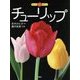 チューリップ(もっと知りたい) [全集叢書]