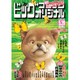 ビッグコミックオリジナル 2016年 5/20号 [雑誌]