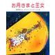お月さまと王女 ペーパーバック版 [絵本]
