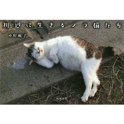 川辺に生きるノラ猫たち [単行本]