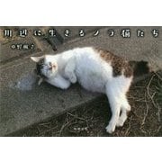 川辺に生きるノラ猫たち [単行本]