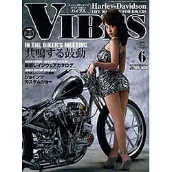 VIBES (バイブス) 2016年 06月号 [雑誌]