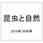 昆虫と自然 2016年 06月号 [雑誌]