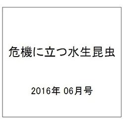 危機に立つ水生昆虫 2016年 06月号 [雑誌]