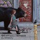 レッド・ホット・チリ・ペッパーズ／ザ・ゲッタウェイ
