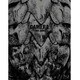 平成ガメラ 4Kデジタル復元版 Blu-ray BOX [Blu-ray Disc]