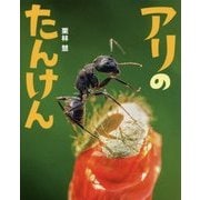 アリのたんけん(ぴっかぴかえほん) [絵本]