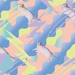 ねこね、こねこね。／ねこの気まぐれ