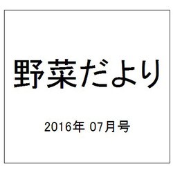 野菜だより 2016年 07月号 [雑誌]
