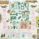 LIP的台湾案内 こんにちは!新しい台湾 [単行本]