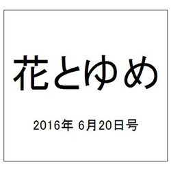 花とゆめ 2016年 6/20号 13 [雑誌]