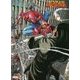 スパイダーバース [コミック]