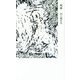 灰家 [単行本]