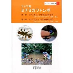 ジャワ島ミナミカワトンボ（ジュニア昆虫叢書 1） [全集叢書]