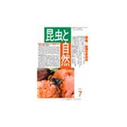 昆虫と自然 2016年 07月号 [雑誌]