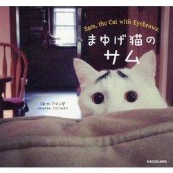 まゆげ猫のサム [単行本]