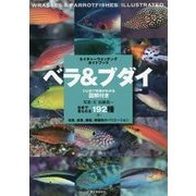 ベラ&ブダイ―日本で見られる192種+幼魚  - ヨドバシ.com