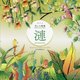 ぬりえ美しき風雅 漣 sazanami [単行本]