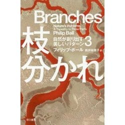 枝分かれ―自然が創り出す美しいパターン〈3〉(ハヤカワ・ノンフィクション文庫) [文庫]