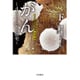 がん―4000年の歴史〈下〉(ハヤカワ・ノンフィクション文庫) [文庫]