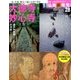週刊朝日百科 仏教新発見 改訂版 2016年 7/10号 [雑誌]