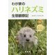 わが家のハリネズミ生態観察記 [単行本]