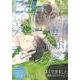 Cab vol.44<44>(Cab<44>) [コミック]
