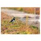 野の鳥と－めぐる季節に鳥をたずねて [単行本]