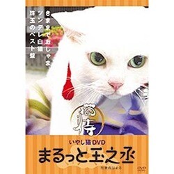 いやし猫 DVD 猫侍 まるっと玉之丞 [DVD]