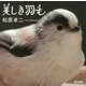 美しき羽毛 [単行本]