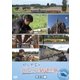 関口知宏のヨーロッパ鉄道の旅 チェコ編 [DVD]