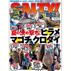 salty ! (ソルティ) 2016年 09月号 [雑誌]
