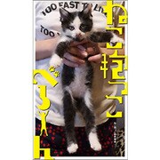 ねこ抱っこべろーん [単行本]