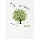 ありがとう―意識の世界への架け橋 復刻版 [単行本]