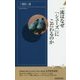 一流はなぜ「シューズ」にこだわるのか(青春新書INTELLIGENCE) [新書]