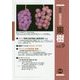 最新農業技術 果樹〈vol.9〉ブドウ基礎技術、温帯でつくるアボカド・アテモヤ、イチジク新技術ほか [全集叢書]