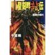 聖刻群龍伝 - 龍睛の刻4 [新書]