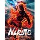 ライブ・スペクタクル NARUTO-ナルト- 2016 [DVD]