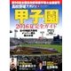 2016甲子園展望号 2016年 9/2号 [雑誌]