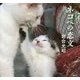 ネコへの恋文 [単行本]